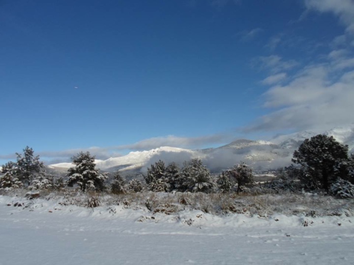 Pensamiento simiente 20 enero 2014: es preciosa invitación