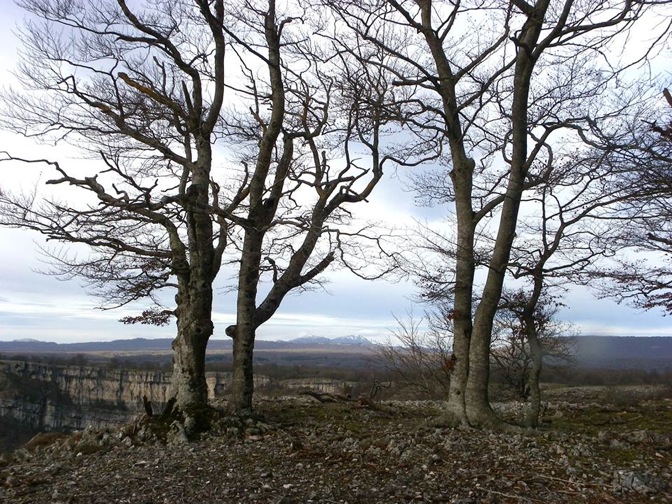 Pensamiento simiente 8 enero 2104: en los momentos de lucidez