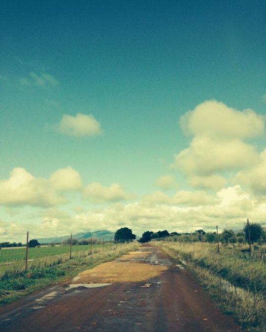 Pensamiento simiente 24 febrero 2014: la bendita unión