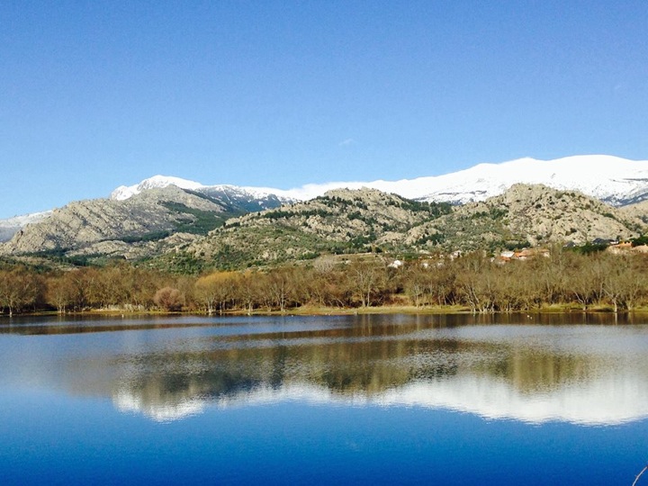 Pensamiento simiente 4 febrero 2014: cada semilla…