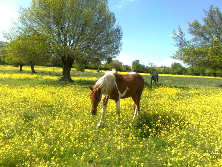 Pensamiento simiente 25 marzo 2014: nuestros tesoros