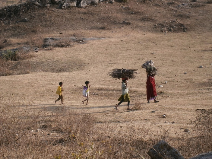 Leña seca (Koldo Aldai)