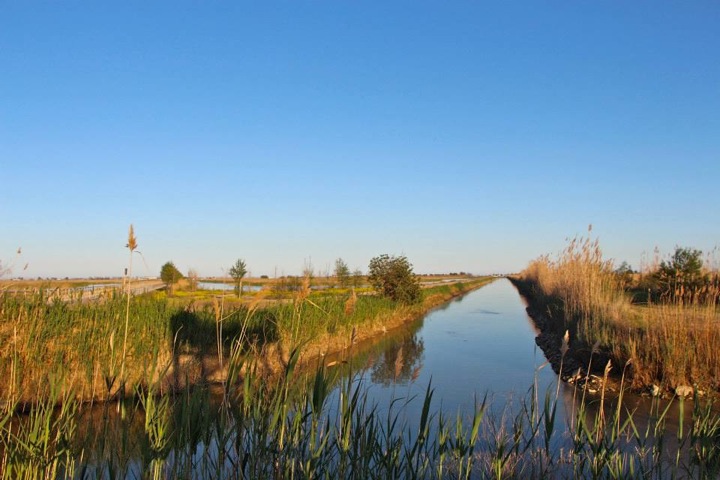 Pensamiento simiente 8 abril 2014: el vínculo