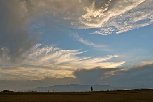 Pensamiento simiente 21 abril 2014: la consciencia nueva