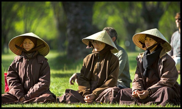 Pensamiento simiente 5 junio 2014: sobre la esencia