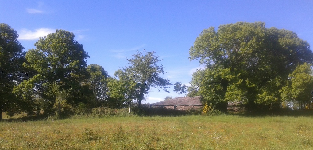 Piedra y memoria (Koldo Aldai)