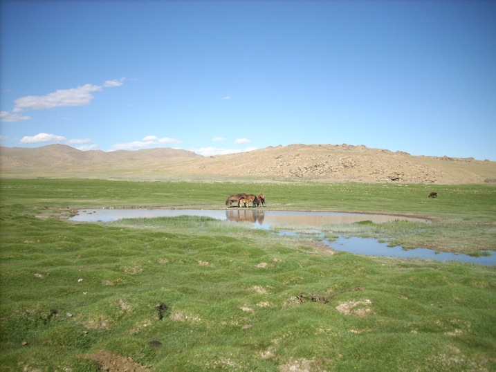 Pensamiento simiente 30 junio 2014: Ser creadores, ser artistas