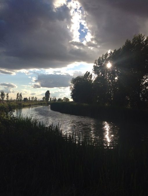 Embellecer la vida diaria