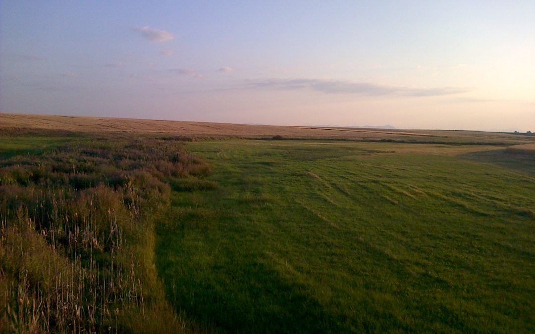 Dejemos que el espacio se sature con los mejores pensamientos…