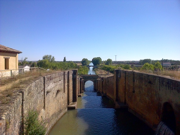 Crear el bien… Create good