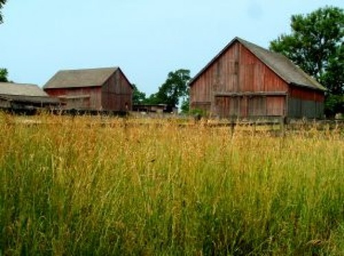 La parábola del rico y la gran cosecha