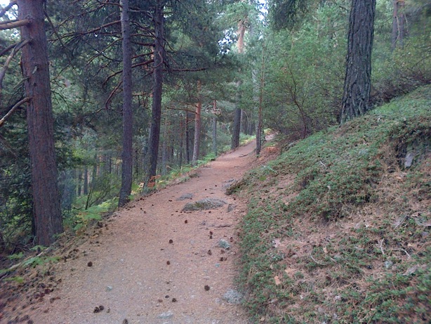 Pensamiento simiente 23 septiembre 2014: acudirán a derramar sobre vosotros sus regalos…