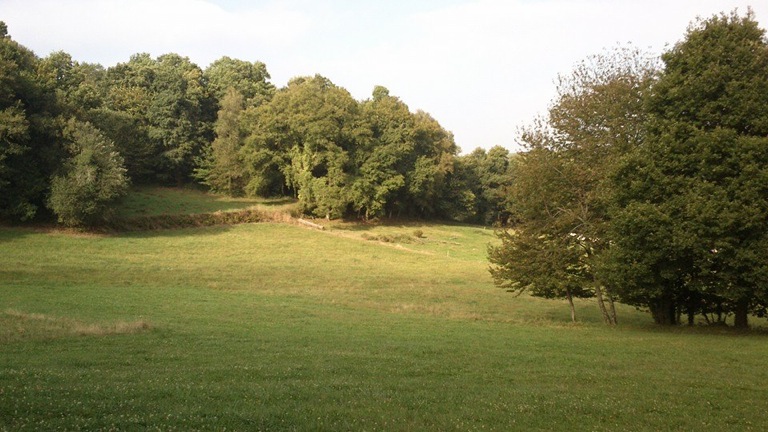 Pensamiento simiente 25 septiembre 2014: buscar al Uno