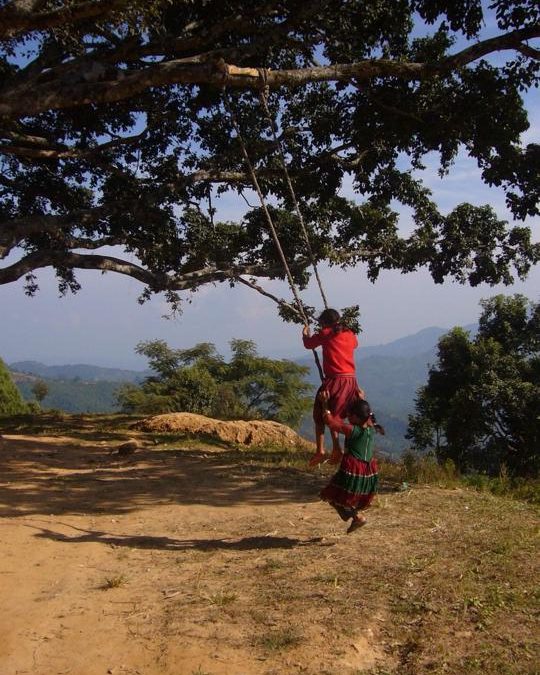 Pensamiento simiente 12 noviembre 2014: armonizaos con el Todo