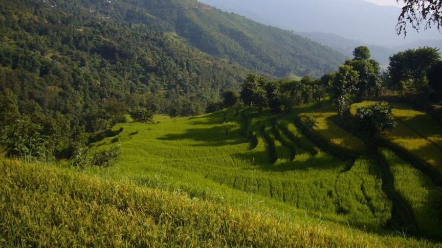 Pensamiento simiente 11 noviembre 2014: proyectarse al cielo