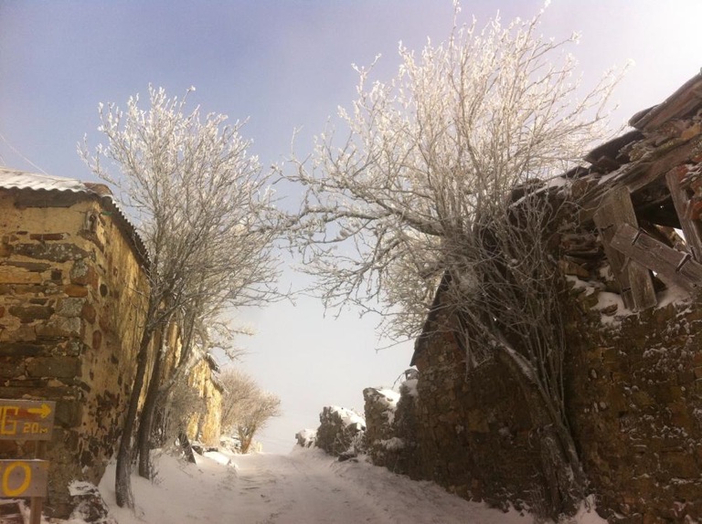 Pensamiento simiente 20 enero 2015: propaga…