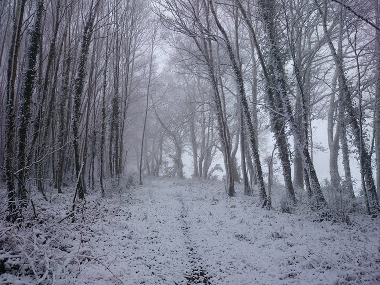 Pensamiento simiente 21 enero 2015: sumar al bien