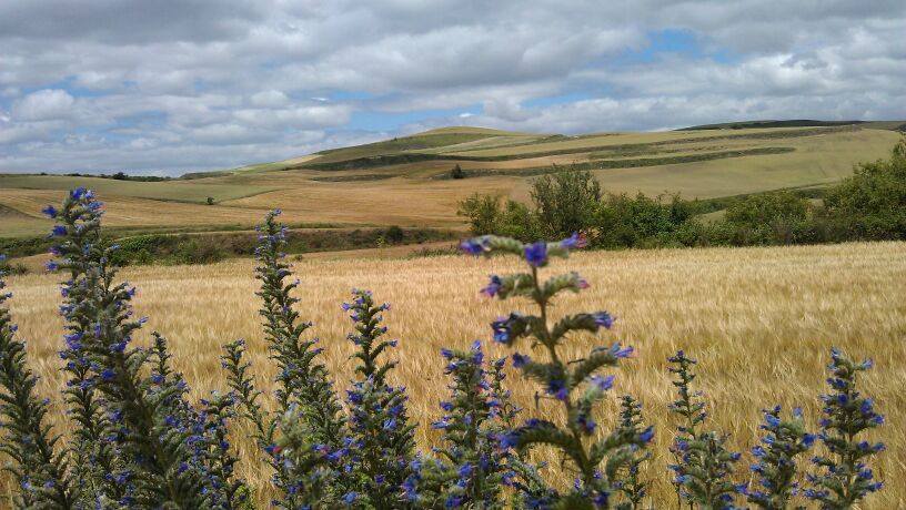 Pensamiento simiente 5 febrero 2015: una chispa del fuego primordial