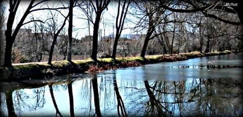 Pensamiento simiente 26 febrero 2015: invocar las fuerzas de nuestro interior