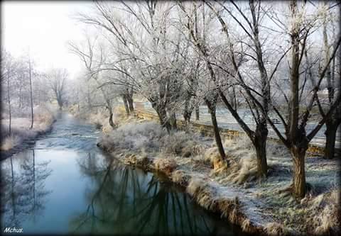 Pensamiento simiente 27 febrero 2015: sirviendo al mundo