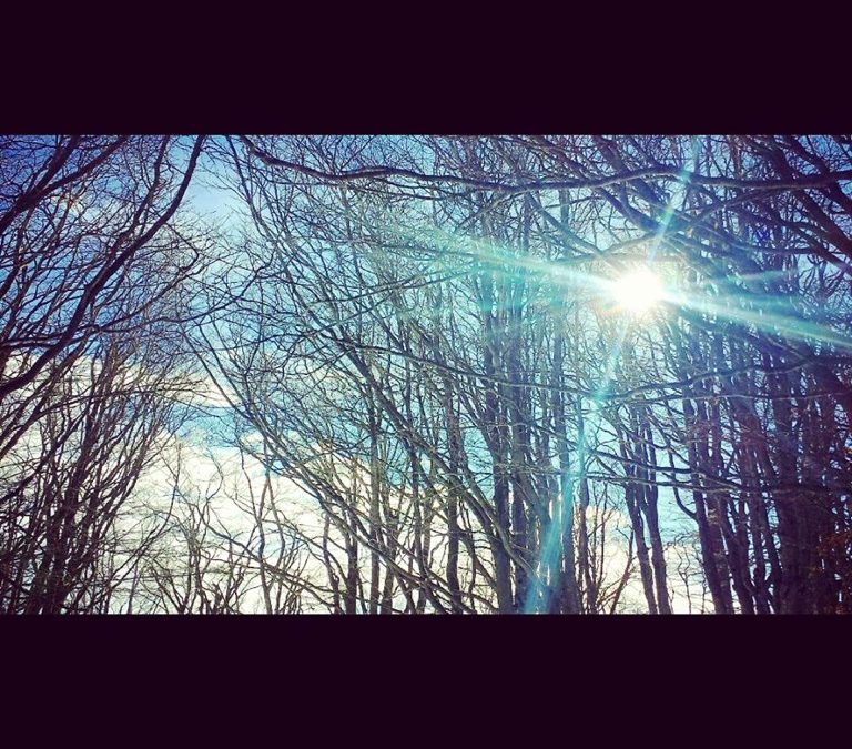 Pensamiento simiente 18 febrero 2015: cultivar un corazón de amor y compasión