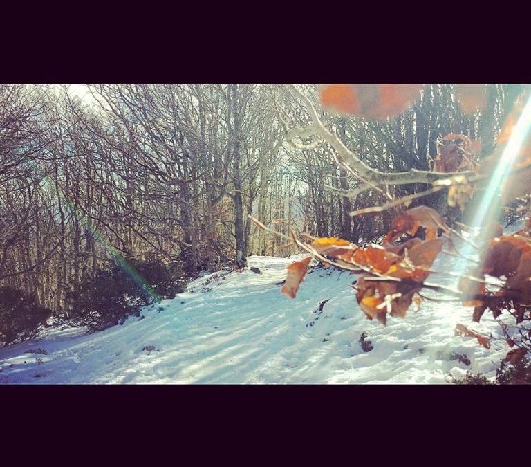 Pensamiento simiente 24 febrero 2015: gobernarse a si mismo antes de gobernar…