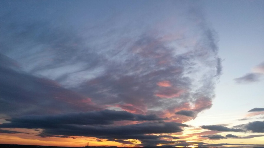 Pensamiento simiente 5 marzo 2015: ¿Dónde quiero estar?