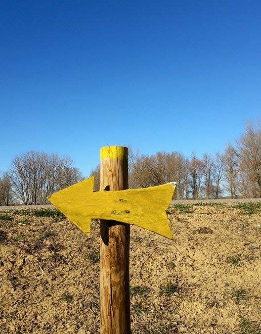 Pensamiento simiente 11 marzo 2015: levantar los velos