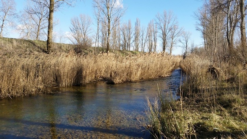 Pensamiento simiente 30 marzo 2015: la bóveda celestial