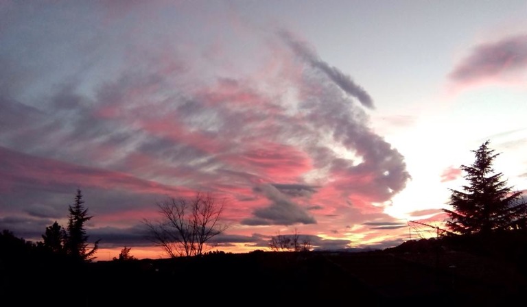 Pensamiento simiente 9 marzo 2015: las fieras