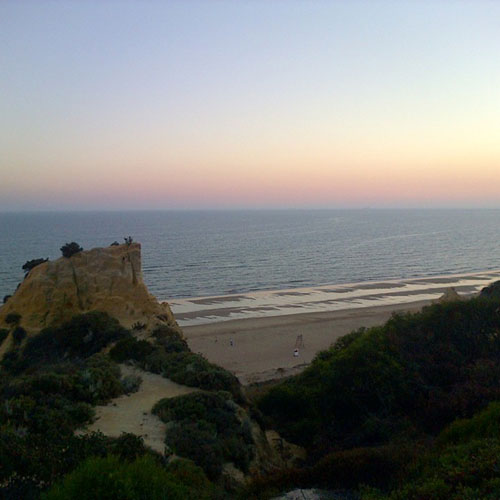 Pensamiento simiente 1 junio 2015: el Loto de la Confianza