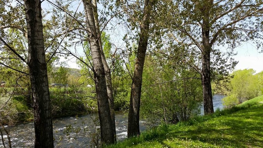 Pensamiento simiente 14 mayo 2015: el camino