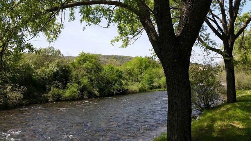Pensamiento simiente 15 mayo 2015: nunca cerréis vuestro corazón