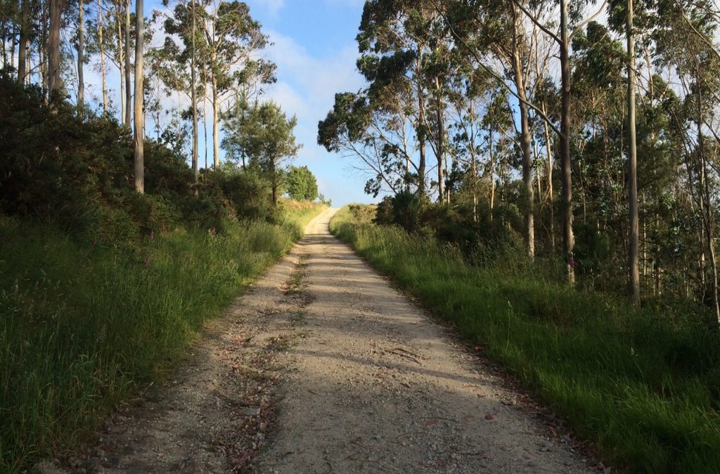 Pensamiento simiente 15 junio 2015: la presencia