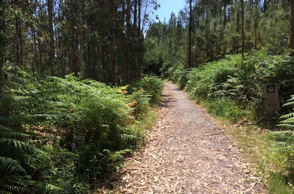 Pensamiento simiente 17 junio 2015: la palabra