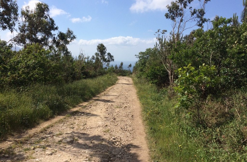 Pensamiento simiente 19 junio 2015: los dos mundos