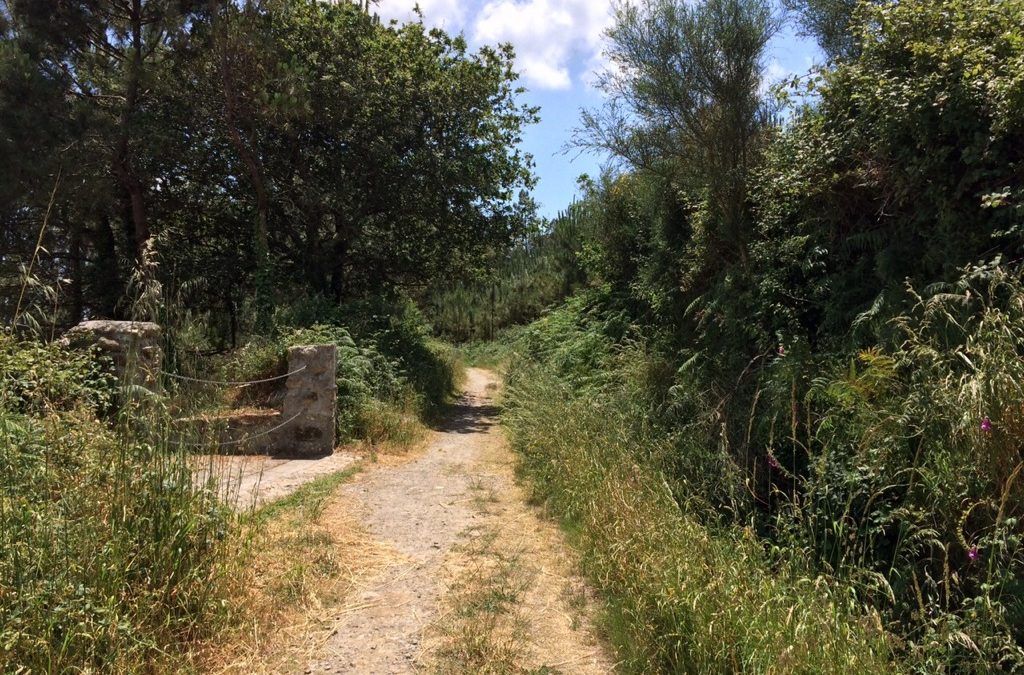 Pensamiento simiente 22 junio 2015: la plenitud