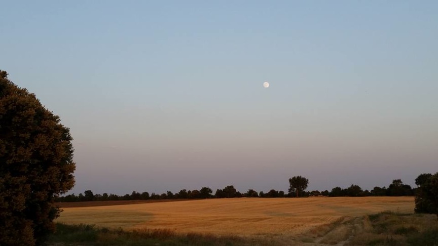 Pensamiento simiente 2 julio 2015: cerrad los ojos