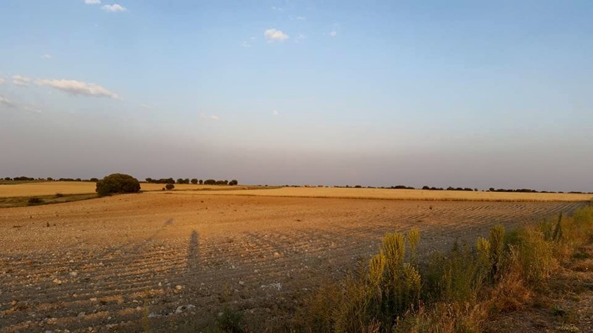 Pensamiento simiente 3 julio 2015: elevarnos a las alturas