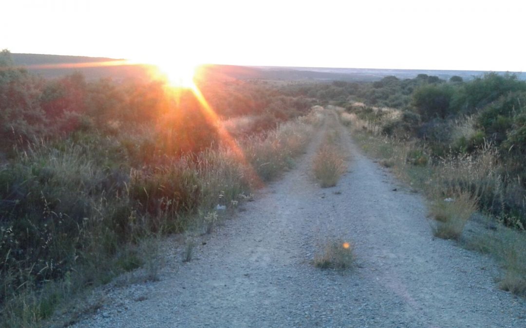 Pensamiento simiente 13 julio 2015: de la mente pequeña a la grande