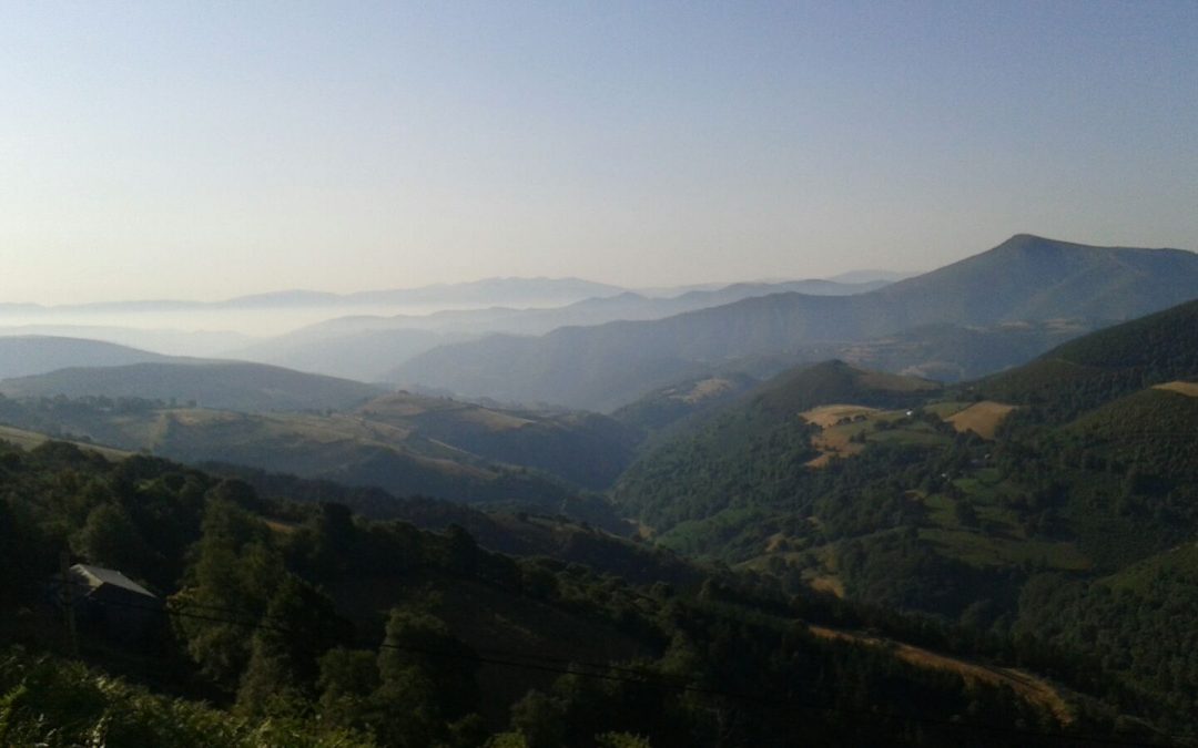 Pensamiento simiente 15 julio 2015: un nuevo ascetismo