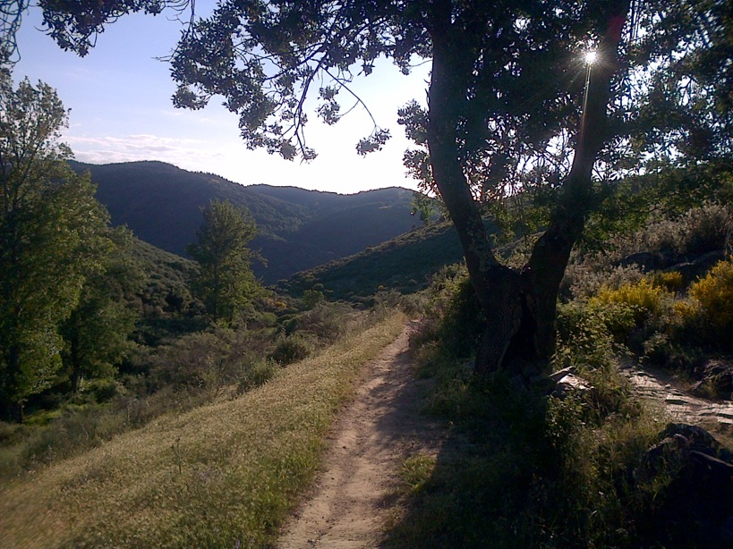 Pensamiento simiente 14 julio 2015: el buen camino