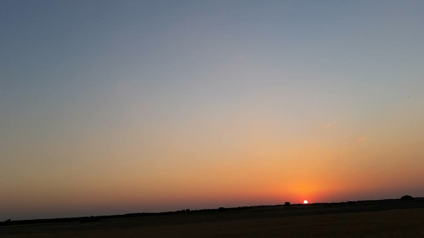 Pensamiento simiente 6 julio 2015: la pantalla opaca