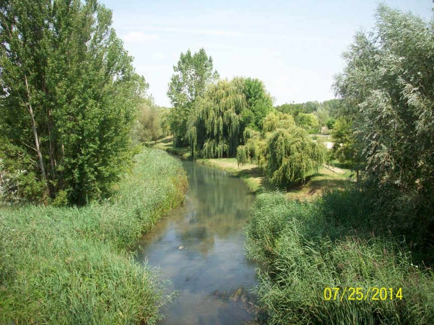 Pensamiento simiente 9 julio 2015: ese estado de consciencia