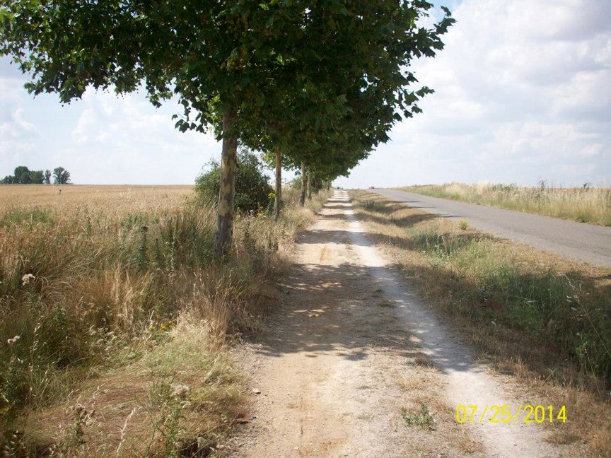 Pensamiento simiente 1 julio 2015: la luz que habita mucho tiempo