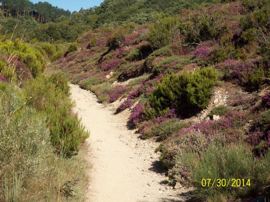 Pensamiento simiente 8 julio 2015: hay luces que nos abandonan