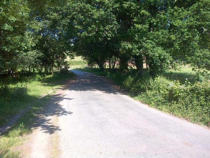 Pensamiento simiente 16 julio 2015: despertar al ser omnisciente