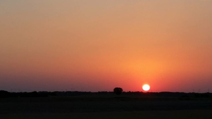 Pensamiento simiente 10 julio 2015: hoy