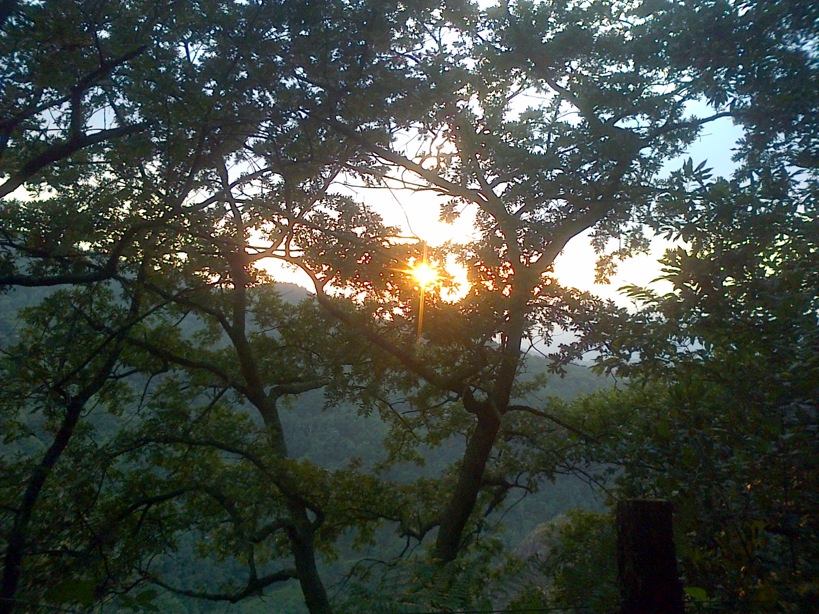 Pensamientos de agosto: amad el poder de la conciencia pura