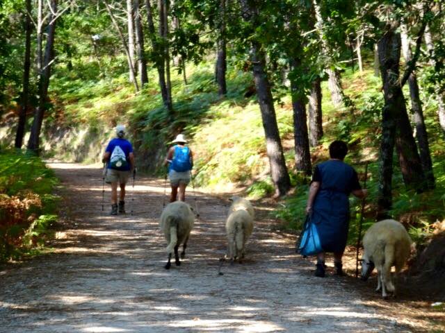 Pensamiento simiente 9 septiembre 2015: por todas partes en el universo, sólo existe la vida, la vida sin límites